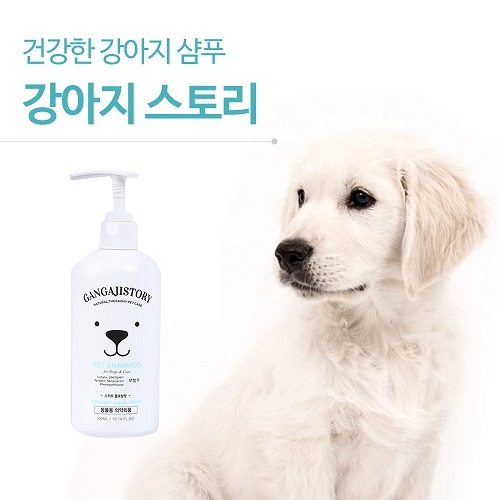 샴푸스토리 이미지