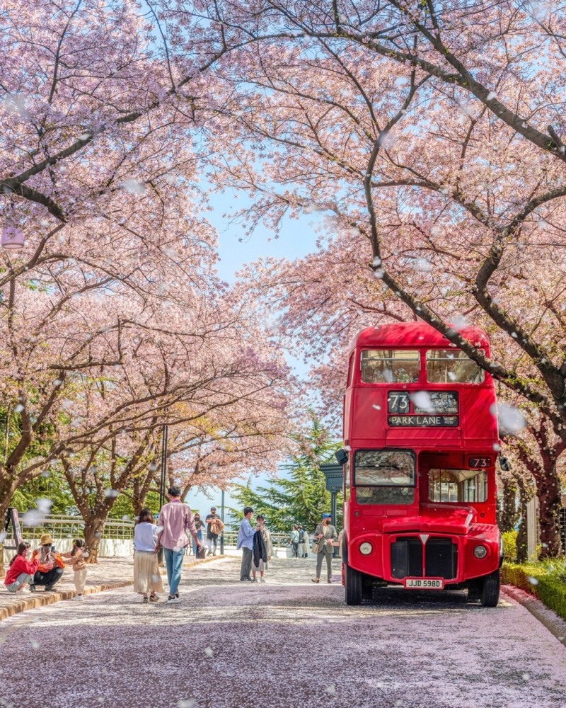 [생활경제 이슈] 이랜드 이월드, 벚꽃축제 ‘블라썸피크닉’ 진행 外