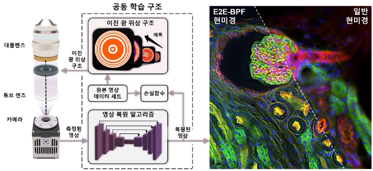 딥러닝 기반 고심도 산술 영상 플랫폼, E2E-BPF 현미경의 원리. 사진=한국연구재단