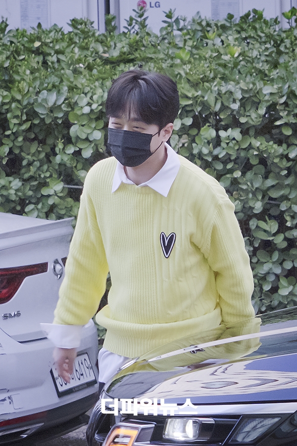 화사하다 이미지
