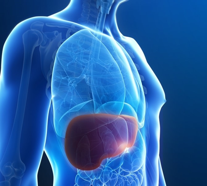 레피다인, 혈액 간암진단 솔루션 ‘액체 생검’ 선봬 - 뉴스 썸네일 이미지