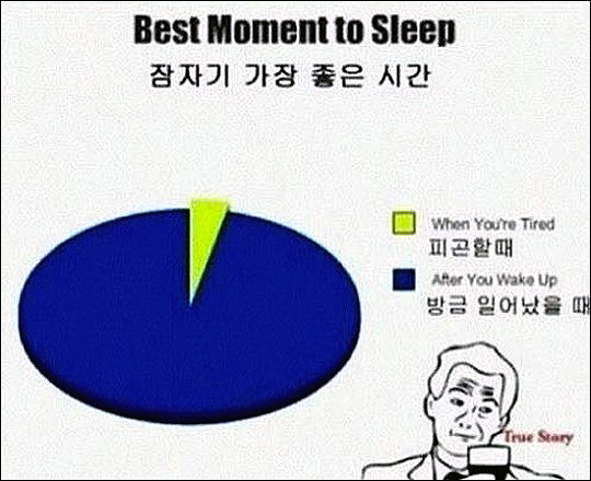 ▲알람이소용없는이유