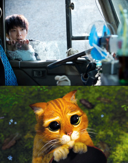 ▲이준기슈렉고양이