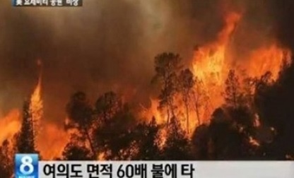 ▲미국산불비상(사진=SBS방송캡처)