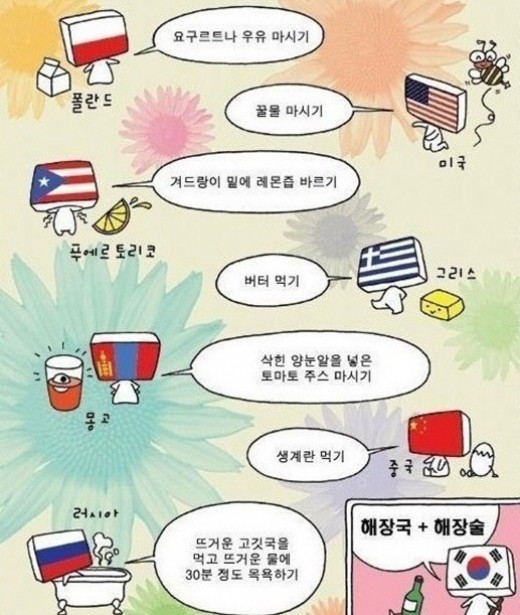 ▲나라별해장방법(사진=인터넷게시판)