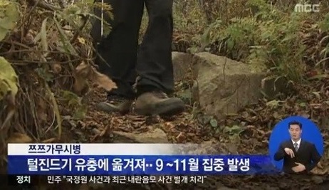 ▲쓰쓰가무시병주의(사진=MBC방송캡처)