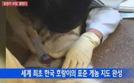 ▲YTN방송캡쳐,호랑이게놈지도