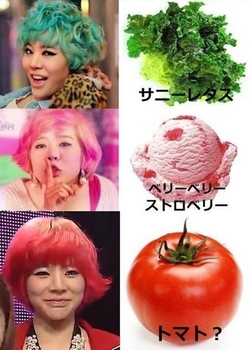 ▲써니머리색변천사(사진=인터넷게시판)