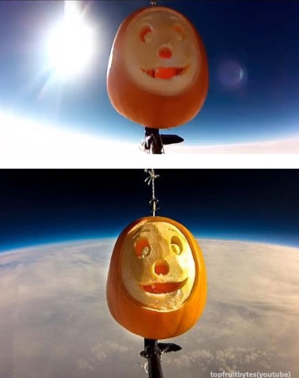 ▲우주로간호박(사진=인터넷게시판)