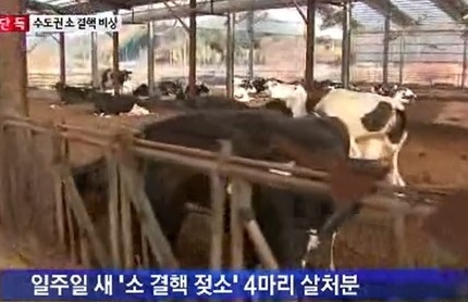 ▲소결핵확산(사진=MBC방송캡처)
