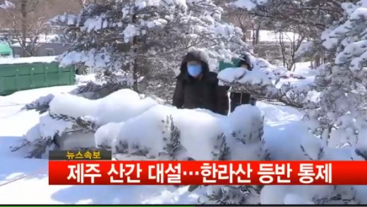 ▲한라산정상등반통제(사진=뉴스Y캡처)