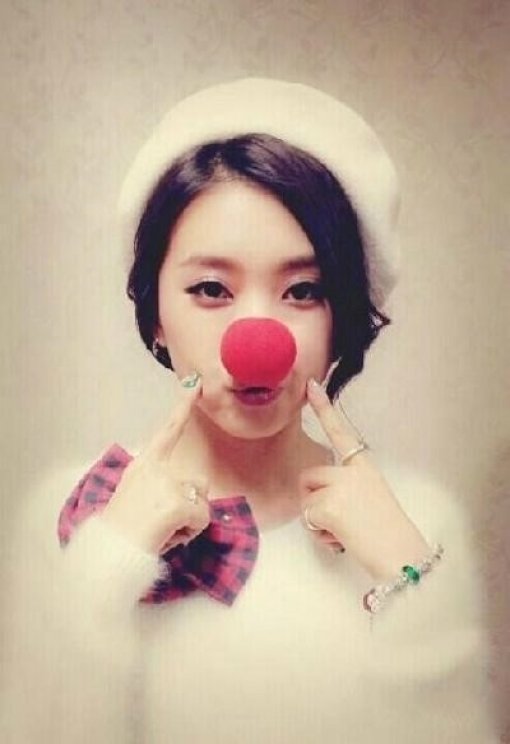 ▲보라루돌프변신(사진=보라트위터)