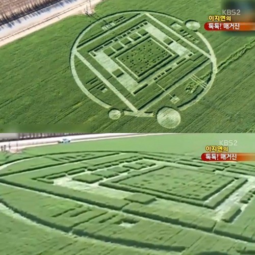 ▲미스터리서클발견(사진=KBS뉴스캡처)