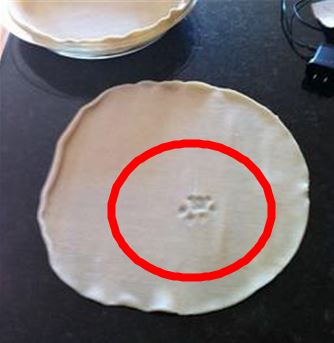 ▲고양이가밟은파이(사진=인터넷게시판)