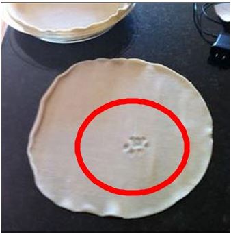 ▲고양이가밟은파이(사진=인터넷게시판)