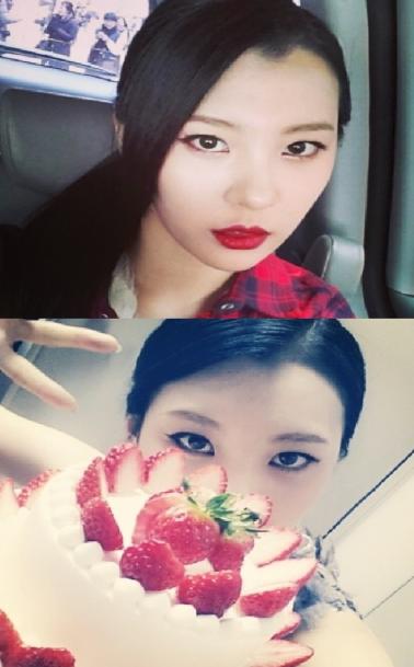 ▲선미딸기케이크