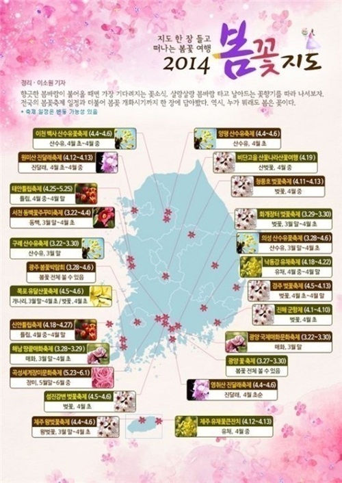 ▲벚꽃축제일정(사진=한국관광공사)