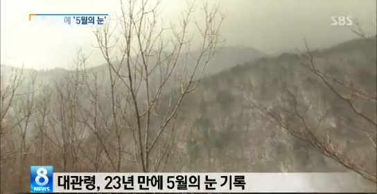 ▲대관령눈,5월의설경연출(사진=SBS)
