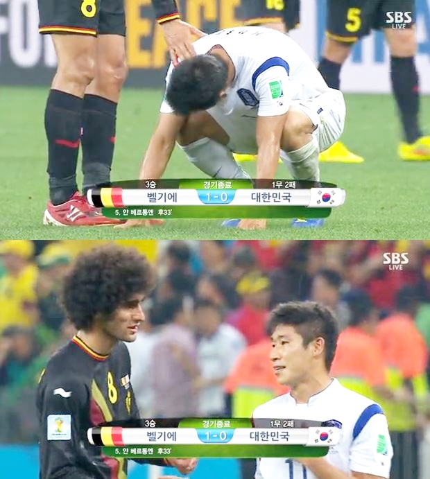 ▲벨기에펠라이니(사진=KBS)