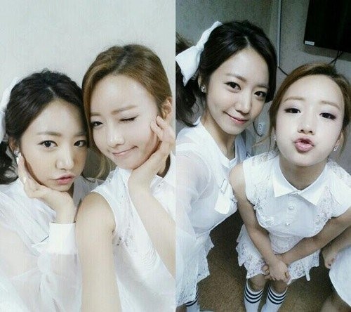 ▲에이핑크유닛으로활동하게될보미와남주