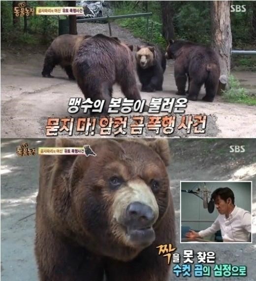 ▲동물농장김상중나레이션/SBS방송캡쳐