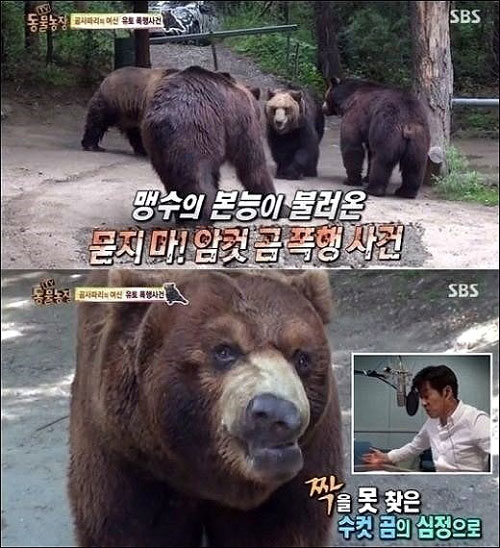 ▲그런데말입니다