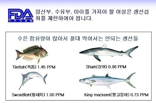 ▲임신부참치(사진=FDA)