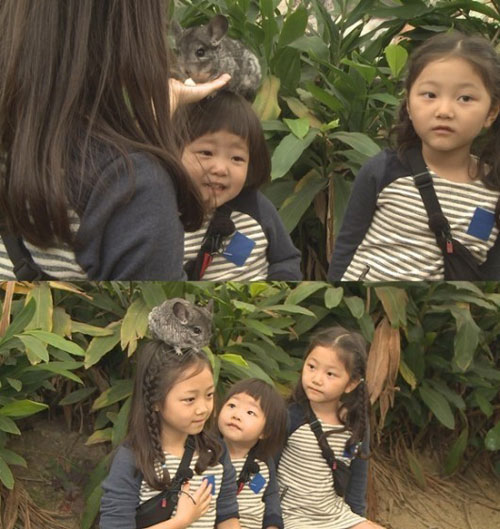 ▲아빠어디가정웅인가족/MBC