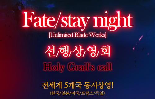 ▲페이트스테이나이트(사진캡처=애니플러스공식홈페이지)