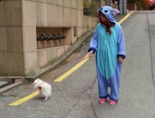 ▲에일리와애견솜이