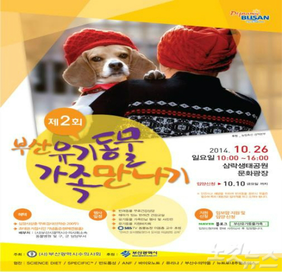 ▲'유기동물가족만나기'행사
