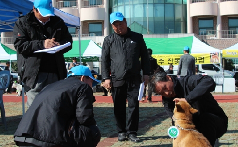 ▲'전국진돗개품평회'(사진=한국진돗개관리협회)