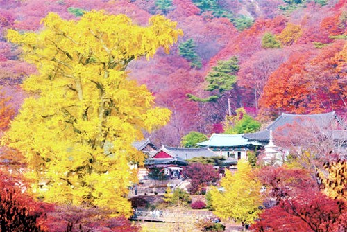 ▲수도권단풍명소(사진=경기관광공사)