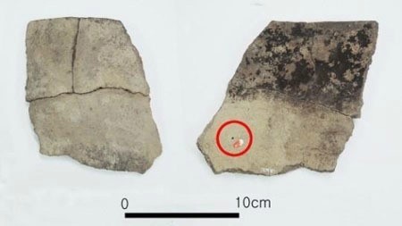 ▲가장오래된팥흔적(사진=문화재청제공)