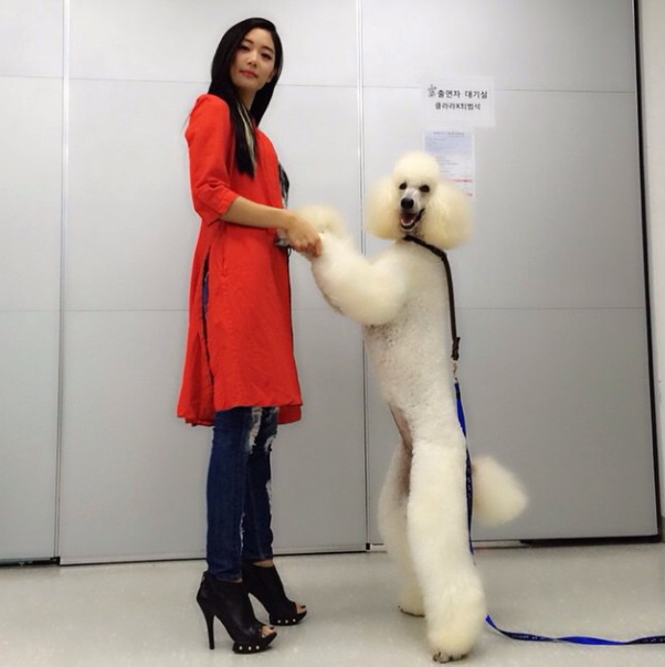 ▲클라라인스타그램
