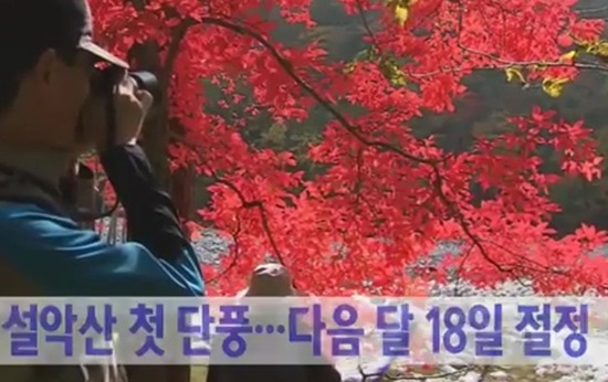 ▲설악산단풍절정(사진=YTN방송캡처)