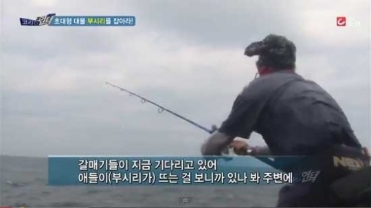 ▲부시리란(사진=TV조선방송캡처)