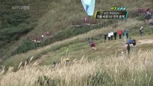 ▲전국억새명소(사진=KBS방송캡처)