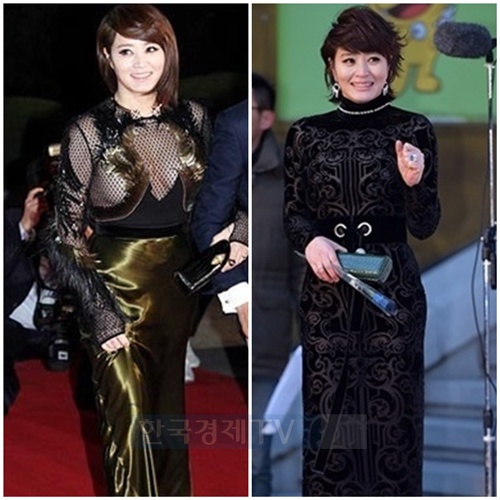 ▲김혜수,드레스2013(사진=한경DB)
