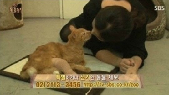 ▲동물농장배다해(사진=SBS)