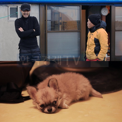 ▲차승원유해진
