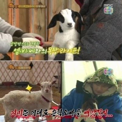 애니멀즈 폐지 소문 ‘솔솔’ MBC ‘아니다!’