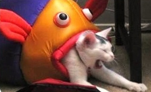 ▲(사진=온라인커뮤니티)