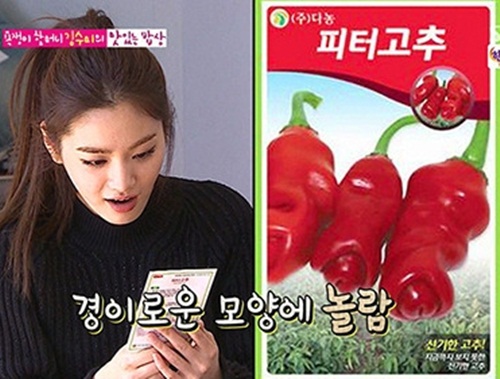 ▲(사진=방송캡처)