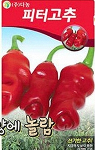 ▲(사진=방송캡처)