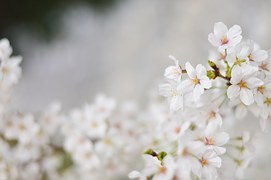 ▲(사진=픽사베이)