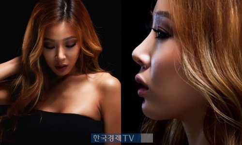 ▲사진=제시인스타그램