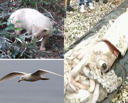 ▲사진=국립공원관리공단,인터넷게시판