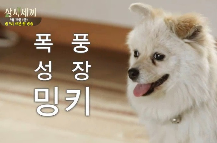 ▲사진=예고영상캡처