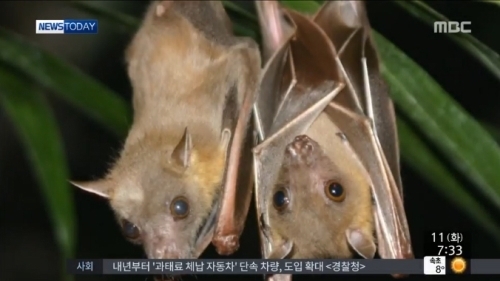 ▲(사진=방송캡처)